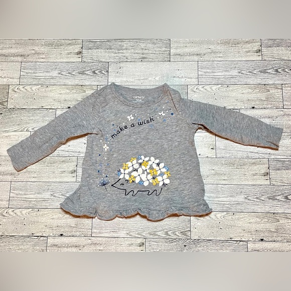 Carter’s Baby Girls Two-Piece Hedgehog Floral Set- 12 M - Picture 2 of 6